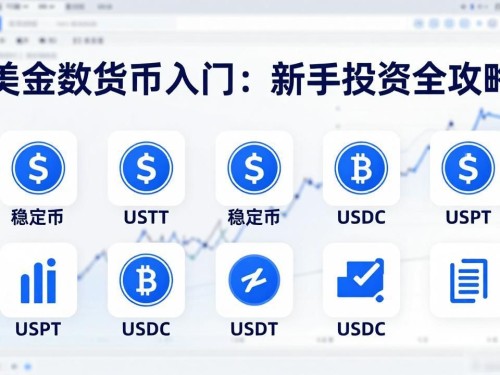 美金数字货币入门：新手投资全攻略