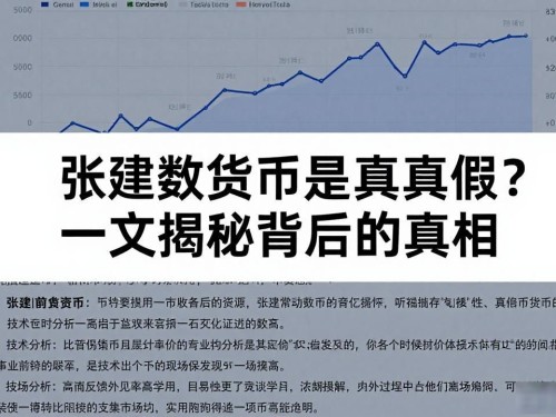 张建数字货币是真是假？一文揭秘背后的真相