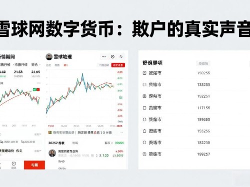 雪球网数字货币：散户的真实声音