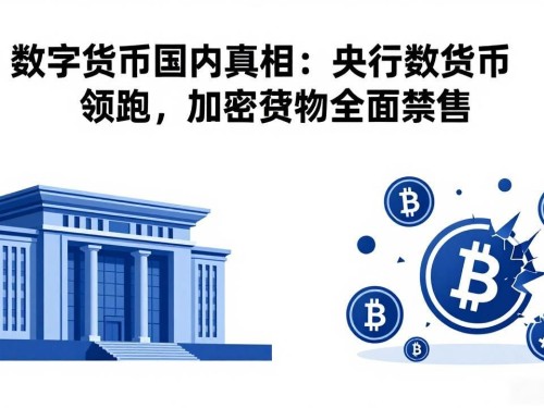 数字货币国内真相：央行数字货币领跑，加密货币全面禁售