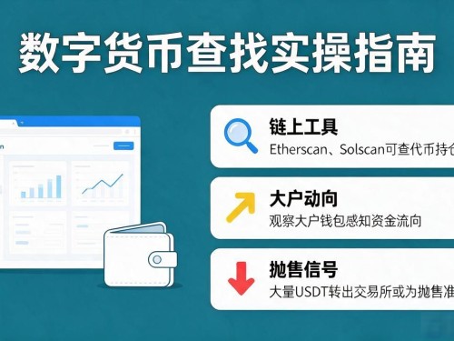 数字货币查找实操指南