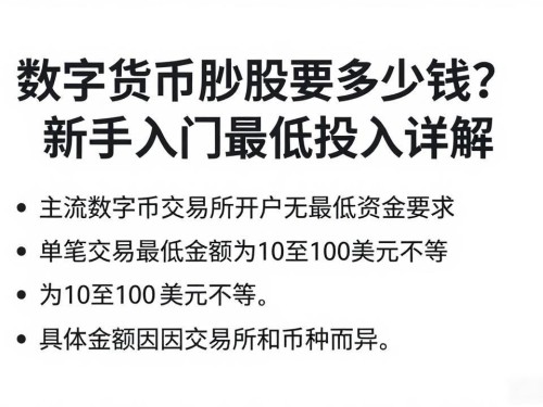 数字货币炒股要多少钱？新手入门最低投入详解