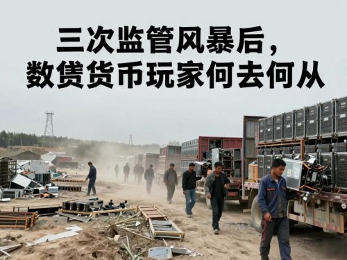 三次监管风暴后，数字货币玩家何去何从