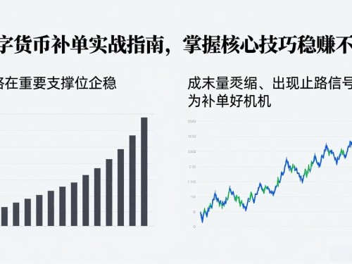 数字货币补单实战指南，掌握核心技巧稳赚不赔