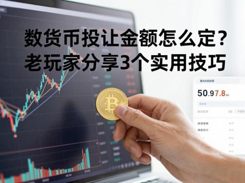 数字货币投注金额怎么定？老玩家分享3个实用技巧