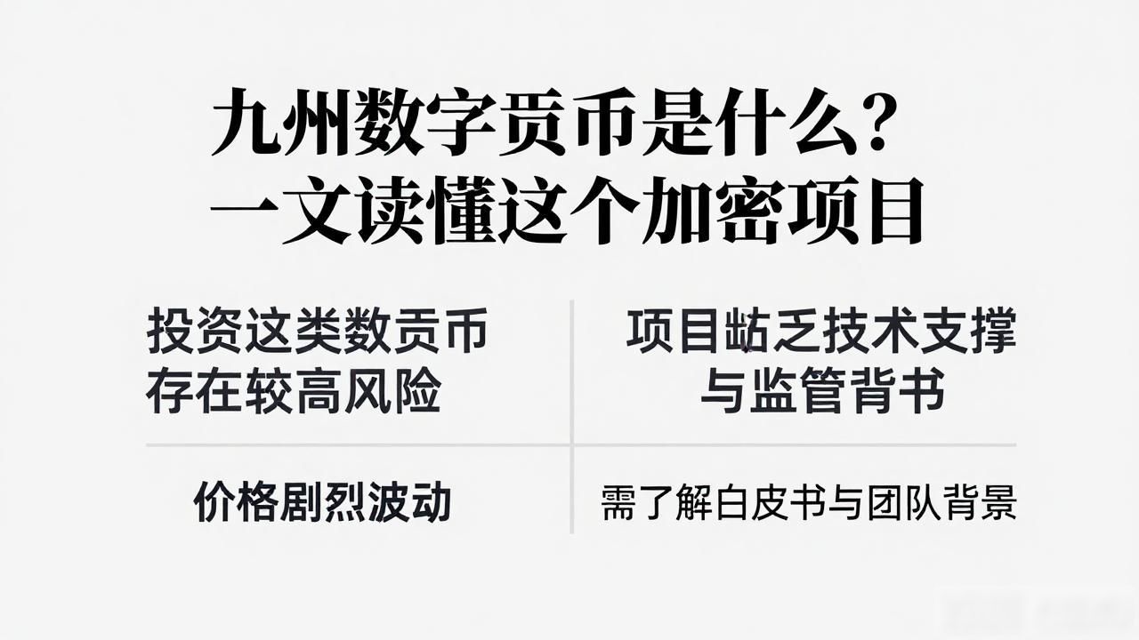 九州数字货币投资风险_什么叫九州数字货币_九州数字货币项目背景