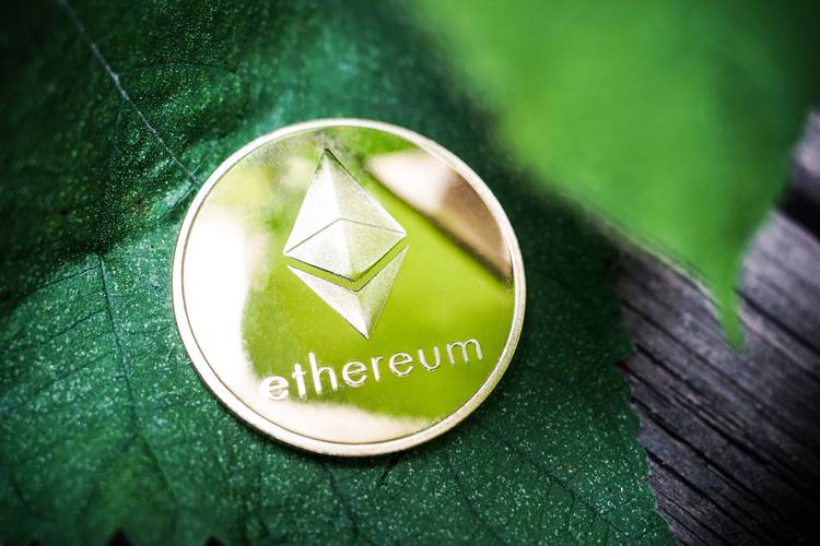 国外绿色产业的发展现状_国外绿色经济_如何通过imToken国外版推进绿色投资的理念？